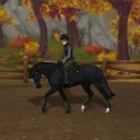 grove equestrian