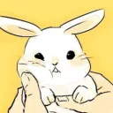 Carrot Nation🥕✨