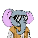 CardanoAnimals server