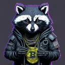 Raccoon Investments