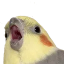 Ecru's Land of Boolies