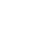 Space Foxes