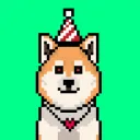 Cute Akita Inu Collections (Solana)
