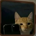 ハッピーライフ