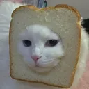 чан с говном