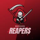 Bedwars Reapers
