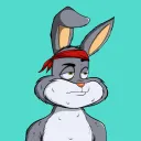 Roughneck Rabbits