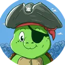 Tortuga Ships