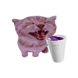 я кодеиновый 💜 — мониторинг Discord сервера, статистика и рейтинг