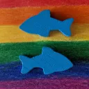 gdynia.gay