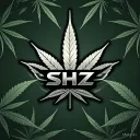 Silver Haze ⚔