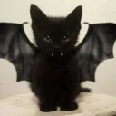 Spook Tuah