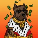 The Dogo