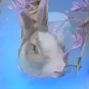 Art Hard's server