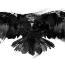 Raven_Angels