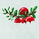The Dripping Fruit Collection