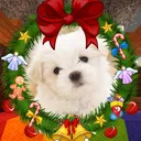 🎄 Fim de Ano Ovalak 2021