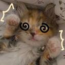     ̊°CLUB GATITOS° ̊    Discord Server Icon