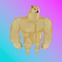 SwoleDoge on Solana
