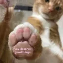 himbos, bimbos, and thembos