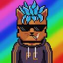 PolyCats icon