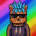 PolyCats icon