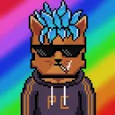 PolyCats