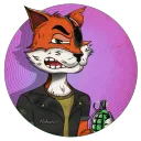 Feisty Foxes!