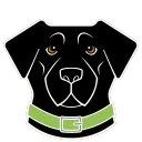 DOGMONEY