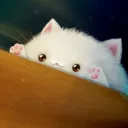 ChonkyMow