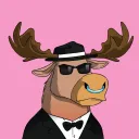 The Moose Mafia Lounge