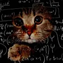 4 класс 444 котики