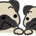 Pug.com