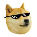 AvoTRIBE