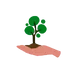 Avax Sapling NFT