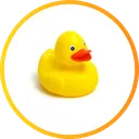 𝔇𝔲𝔠𝔨𝔩𝔦𝔫𝔤𝔰