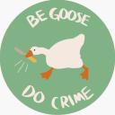 ADHD Goose Server