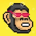 The Munky Monkey