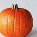 Halloween Party! Server Icon