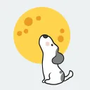 SafeShibaMoon