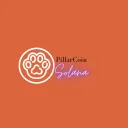PillarCoin_SOL's server