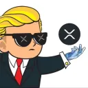 XRP Wall Street Bets