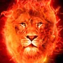 ⚜ TANIÈRE DU LIONS ⚜