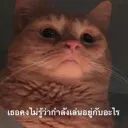 เซิร์ฟเวอร์ของ ZlowZ