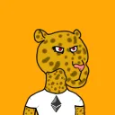 Jungle Jaguars!