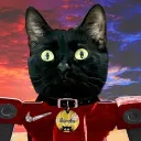 robotstraycats