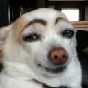 Szepart 𝐎𝐩 | Ryuga deathmoti... Discord Server Icon