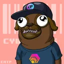 The Cyberpugs