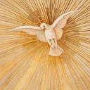 Veni Sancte Spiritus Server Icon