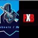 SelNoox | Skoalz